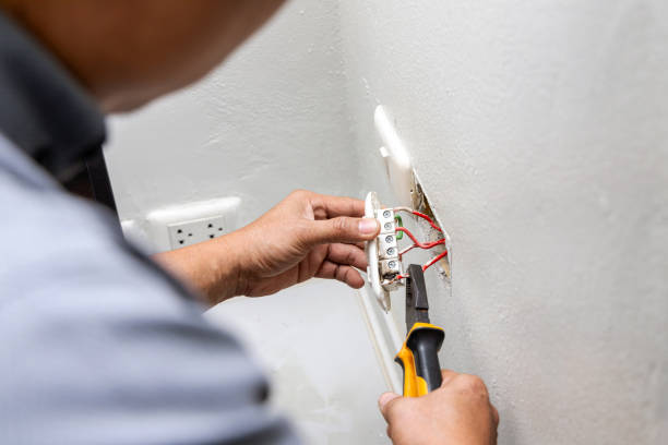 Best Local Electrician Companies  in Valley City, ND